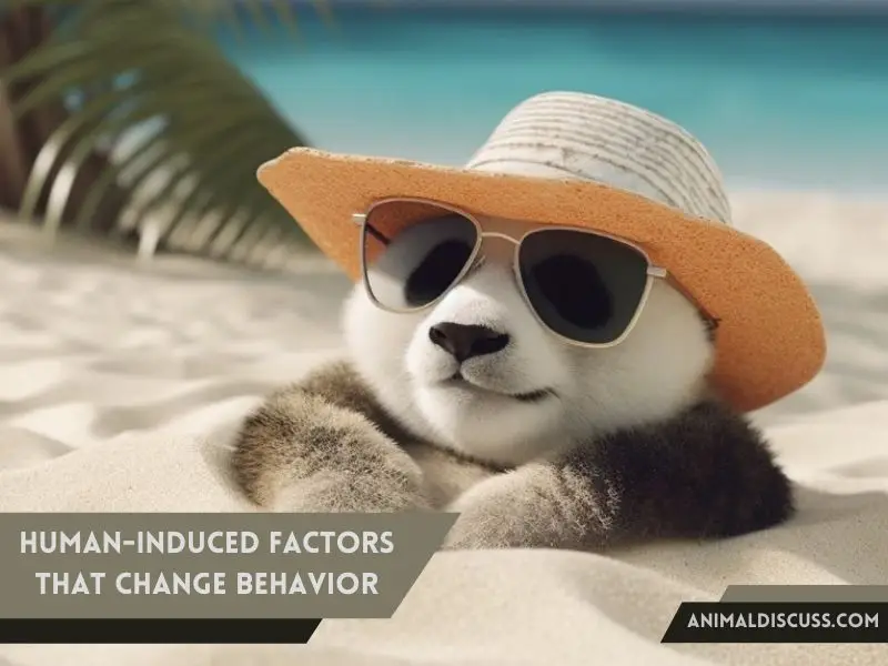 Behavioral Facts of Giant Panda 9 Human-Induced Factors That Change Animal Behavior